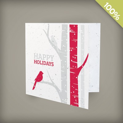 Birch Trees Square Business Holiday Cards